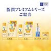 Hada Labo Gokujun Premium Hyaluronic Liquid Lotion Refill, 6.1 fl oz (170 ml) (x 1)