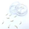 TNBL NAIL ART PEARL SET