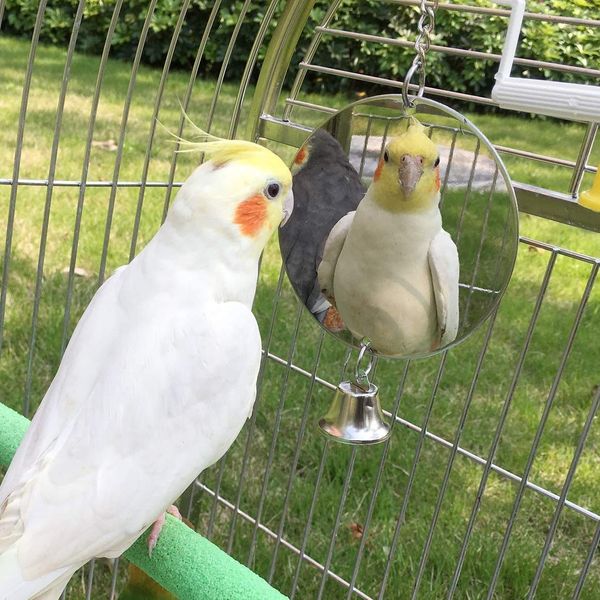 Bird Mirror Toy with Bell Swing Hanging Ringer Leather Mirror Toy Parrot Cage Accessories Decoration for Small and Medium Parakeet Cockatiel Finch Lovebird Conure Budgie Cockatoo African Grey (E)