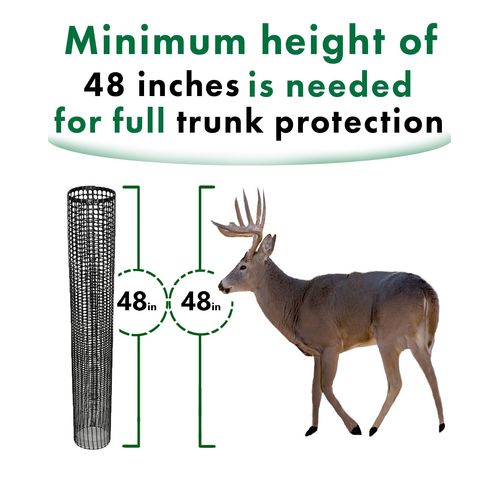 Voglund Nursery Mesh Tree Bark Protector Guard 48 Inches Tall (5 Pack) Heavy Duty with Zip-Ties, Tree Trunk Protectors from Trimmers, Tree Guard, Tree Protector for Saplings and Fruit Trees
