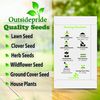 Outsidepride 20 Seeds Perennial White Canna Lily Flower Seed for Planting