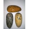 Madagascar Minerals Round Sea Jasper Massage Tool