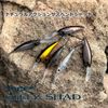 DAIWA STEEZ Shad 60SP MR Natural Ghost Shad