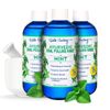 Dale Audrey Ayurvedic Organic Oil Pulling for Teeth and Gums | Refreshing Mint Flavored Oral Rinse Mouthwash | Essential Oils for Bad Breath | Whitening Teeth & Fresh Breath | (3 Pack,8oz)