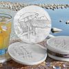Adirondack Chair Coasters (set of 4)