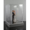 WEDDING CAKE TOPPER FIGURINE DISPLAY CASE