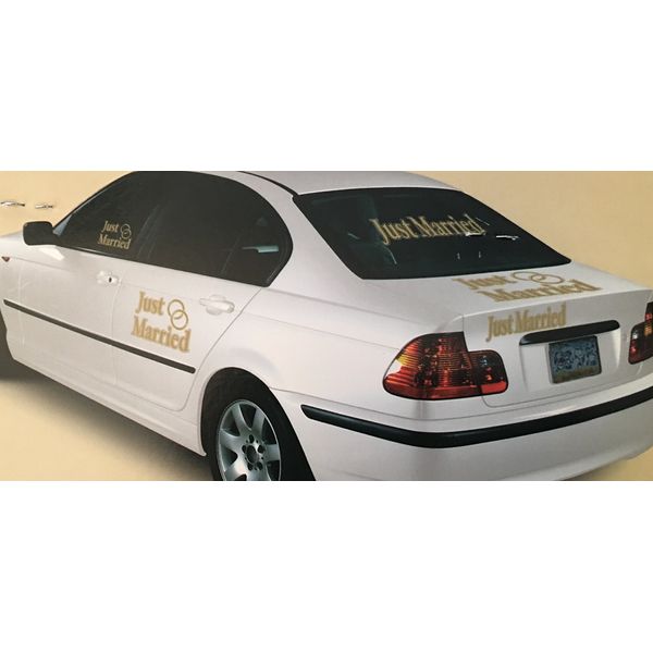 Beistle 55933 5-Pack Just Married Auto-Clings, Assorted