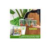 Artificial Moss Potted Plants Decorative Crafts Green Table Piece Wedding Party