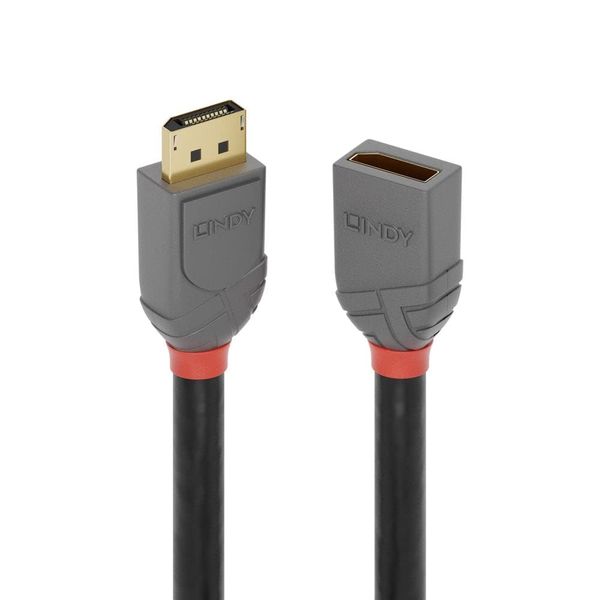 LINDY Anthra Line DisplayPort Extension Cable, 0.5m