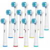 EverWhite Replacement Toothbrush Heads Compatible w/ Oral B Electric (12 Pack)