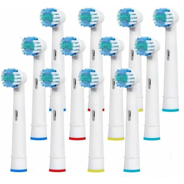 EverWhite Replacement Toothbrush Heads Compatible w/ Oral B Electric (12 Pack)