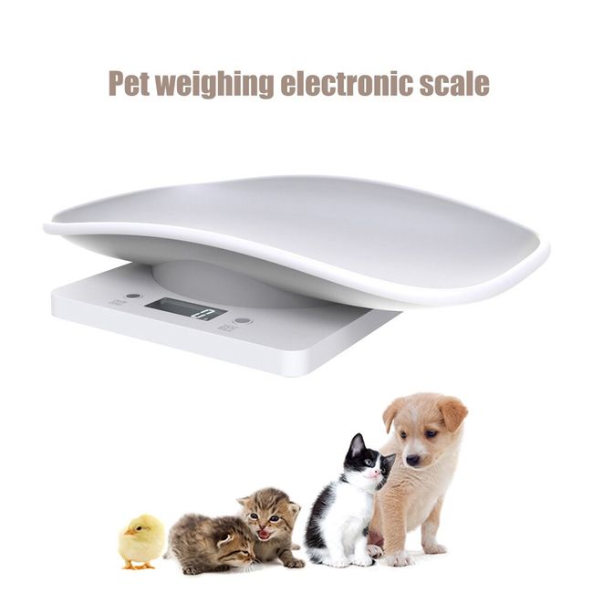 Digital Scale High Precision Dogs Cats Animal Scale Gram