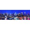 New York City Skyline 500 Piece Panoramic Puzzle