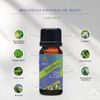 Absolute Aromas Breatheasy Essential Oil Blend 10ml - Pure Natural, Undiluted - for Aromatherapy and Diffusers