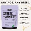 Petz Park Stress Care Supplement for Cats