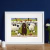 'Ewe're A Big Softee' Mounted Print by Thomas Joseph - Sheep Art