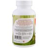 AfterMeals™, Fruit-Based Enzymes+, 100 Chewable Tablets