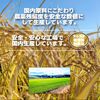 元気になるシリカ ＋ メチル化カテキン カプセル50粒入