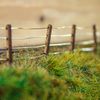 Pro Grass Layering System Summer Grass Starter Kit - WSSK014 | Static Grass Kit for Dioramas & Railway Modelling