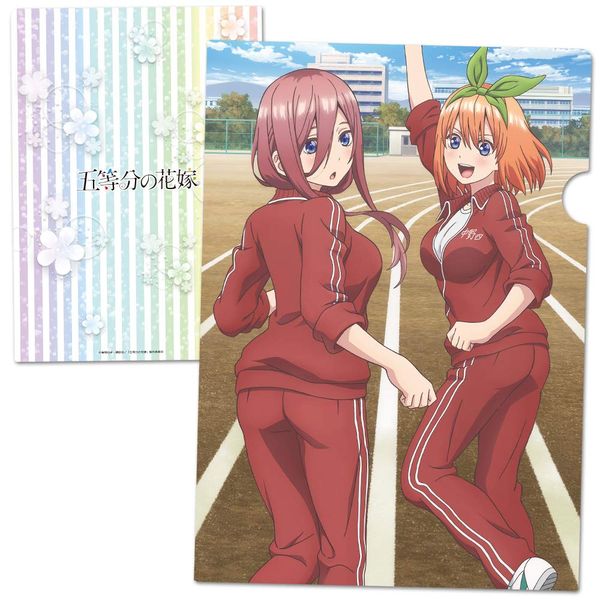 The Quintessential Quintuples Clear File I