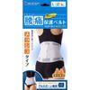 Leader Lower Back Pain Protection Belt, Mesh Type, Large