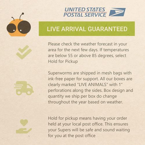 Superworm CO Superworms - 300 Large Superworms - Bulk Wholesale