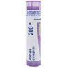 Boiron Aethusa Cynapium 200ck, 80 Count