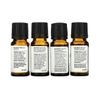 NOW Essential Oils - Seasonal Changes Balancing Essential Oils Kit- 4 Bottles by