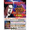 BIG POWER BOOST ビッグパワーブースト 8カプセル(4日分)