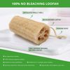 Natural Loofahs, 6 Pack Organic Natural Bath Loofahs Luffa Exfoliating Body Scrubber Sponges for Men Women for Deep Cleaning, with 2 PCS Wall Hooks