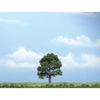 Woodland Scenics Premium Trees Oak 3.25"