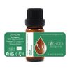 Set Bliss Organic Essential Oils - Rosemary | Sage | Lavender