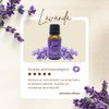 Essencial Oil Lavender BeJoie
