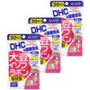 DHC Soybean Isoflavone Absorbent Mold, 20 Day Supply, 40 Tablets x 3