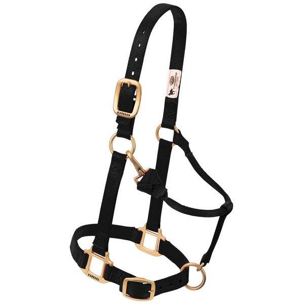 Weaver Leather Original Adjustable Nylon Horse Halter, Yearling, Black