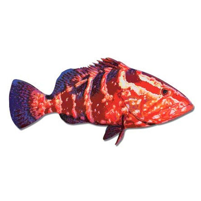 GT Graphics Grouper - 12" Vinyl Sticker Waterproof Decal