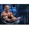 muscle mass supplements - GLUTAMINE POWDER 5000mg - true mass - 2 Cans