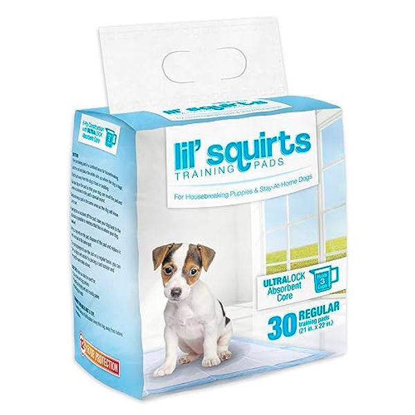 RUFFIN' IT Lil' Squirts Puppy Training Pads 50 Pk