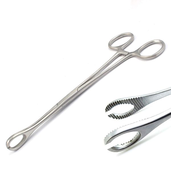 AAProTools Body Piercing Forceps Kit Hemostat Sponge Clamp 6" Straight (Slotted)