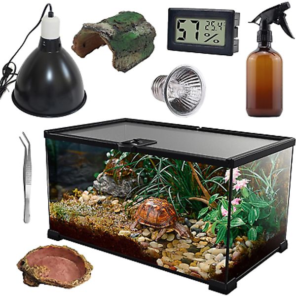 Reptile Glass Terrarium Kit(8 Pieces) 12 * 8 * 6 In, Amphibian Tank Starter Kit,