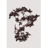 Afloral Plum Cimicifuga Seeded Garland - 6'