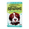 English Springer Spaniel Dog Fun sign 22 x 13.5 cms