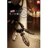 デジタル一眼レフ 実践! モノを撮るテクニック入門 [DVD]