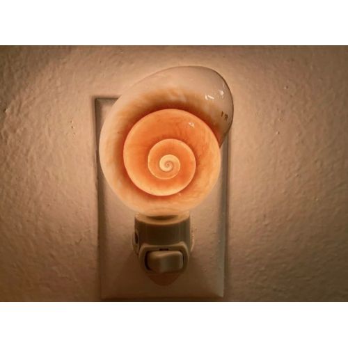 Natural Seashell Night Light Wall Plug-in Lamp Nightlight!! home decor' gifts!