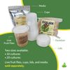 Josh's Frogs Excelsior (Makes 10 Fruit Fly Cultures) 4.6oz