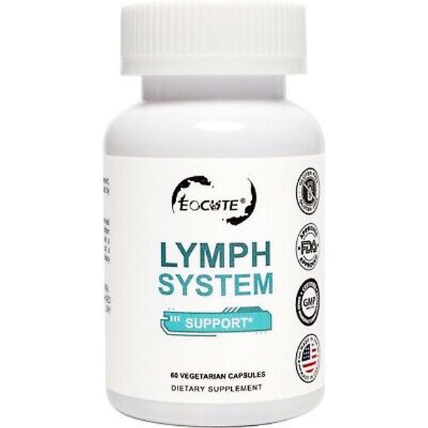Lymph System Support Supplement with Extract Echinacea Purpurea Dandelion USA