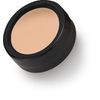 Total Corrector (Special Coverage) Paraben Free & Gluten Free