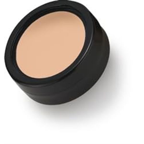 Total Corrector (Special Coverage) Paraben Free & Gluten Free