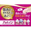 【第2類医薬品】アットノン 15g