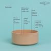 Mason Cash Cane Pet Bowl | 5.9"